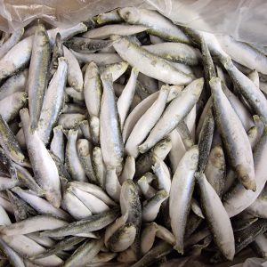 Southcliffe sprats frozen