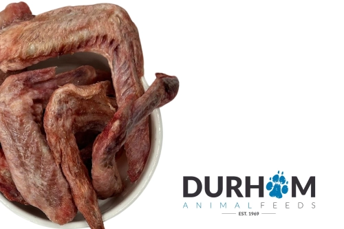DAF DUCK WINGS