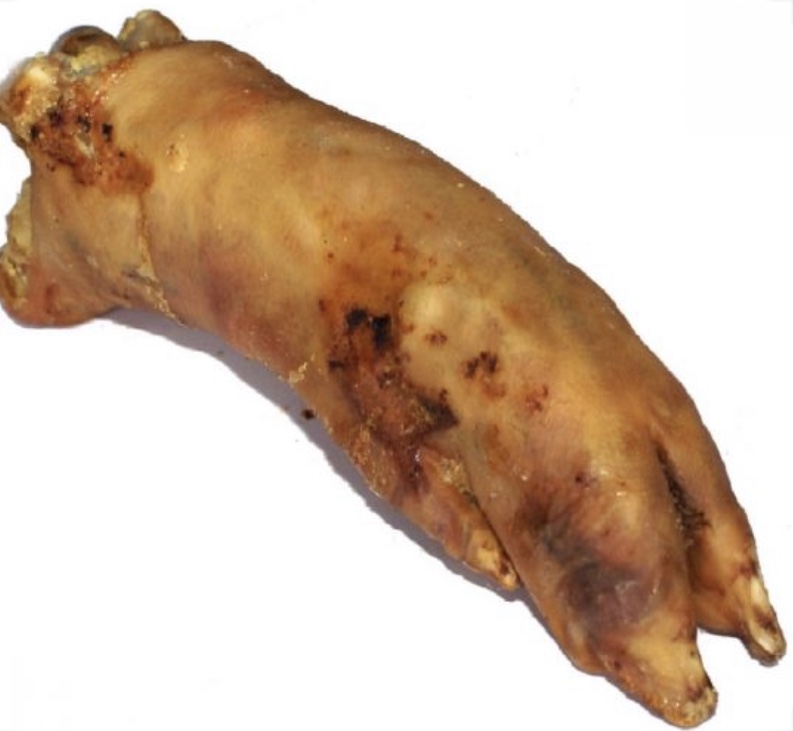 Pigs Trotter Rear (Large)