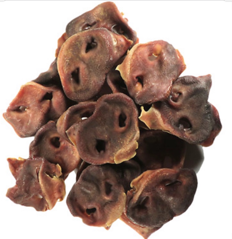 Pigs Snout