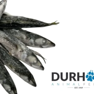 daf mackerel