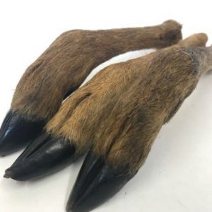 furry-leg furry-leg