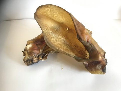 Buffalo Ears Dried