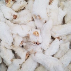 Rabbit Feet With Fur