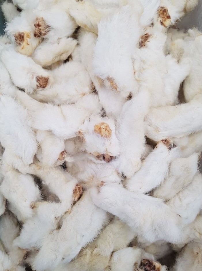 Rabbit Feet With Fur