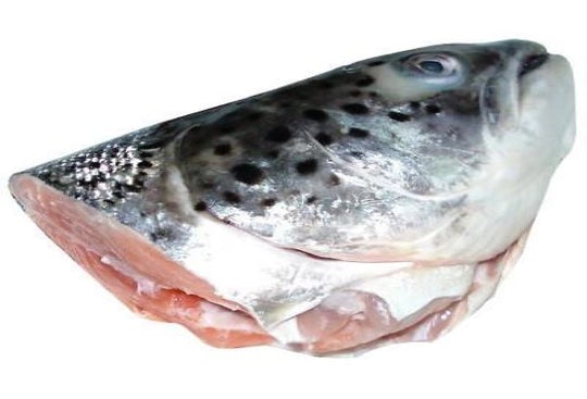 southcliffe frozen salmon heads