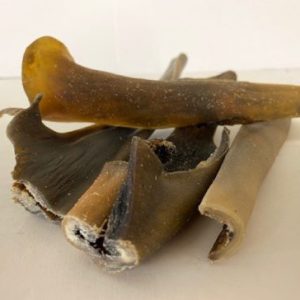 Camel Skin Dried