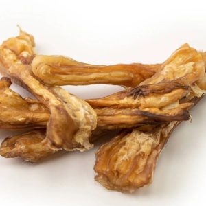 tendon