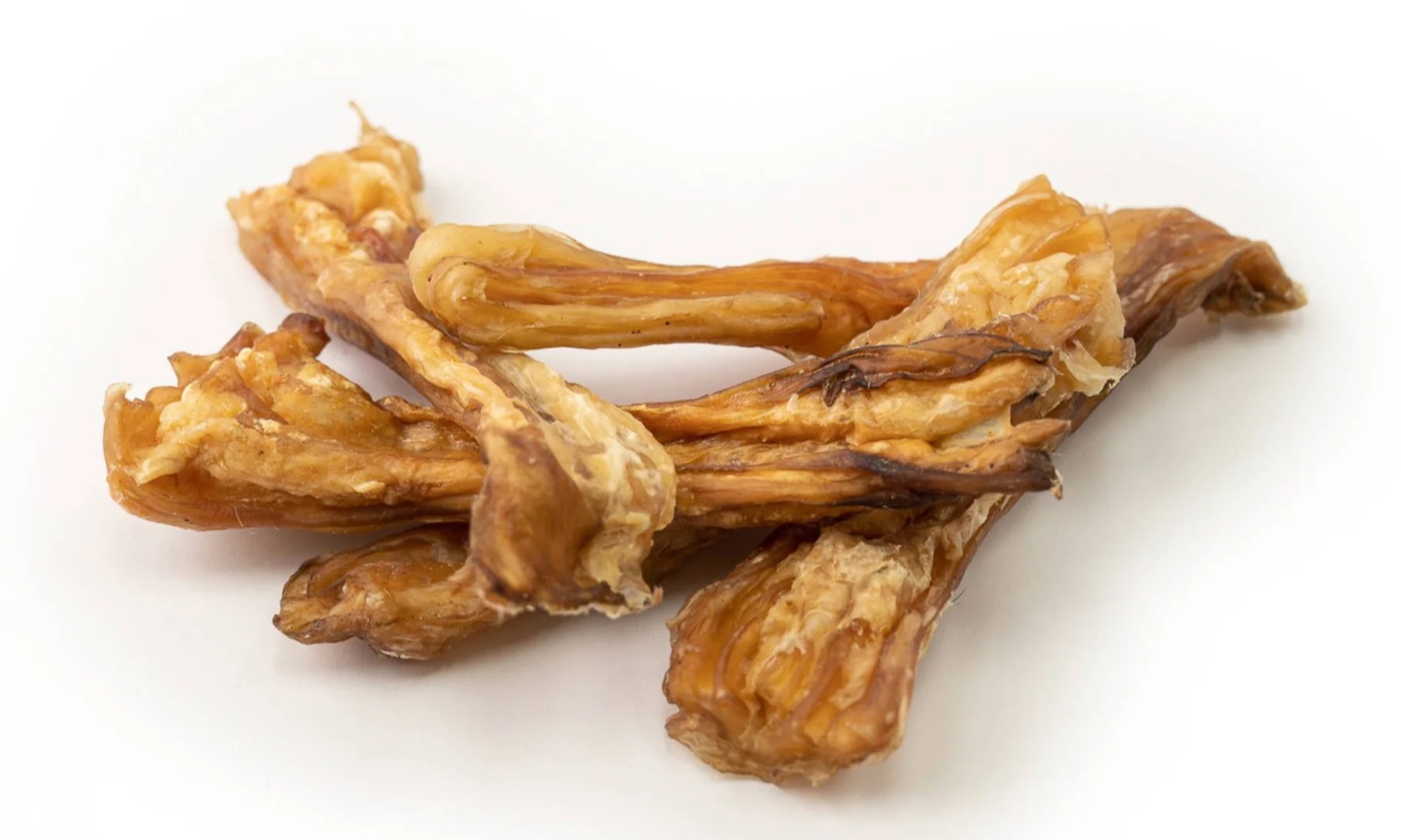 tendon