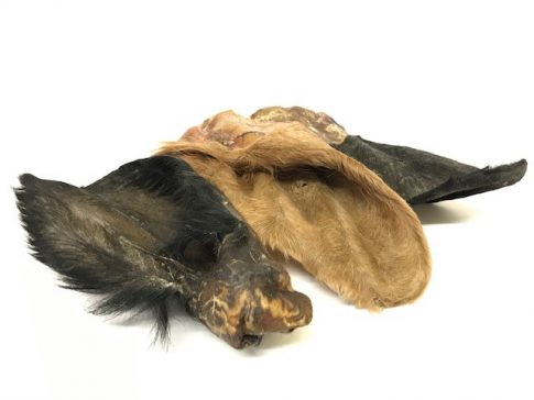 Cows Ear with Fur