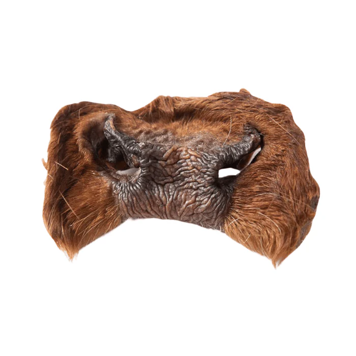 beef nose