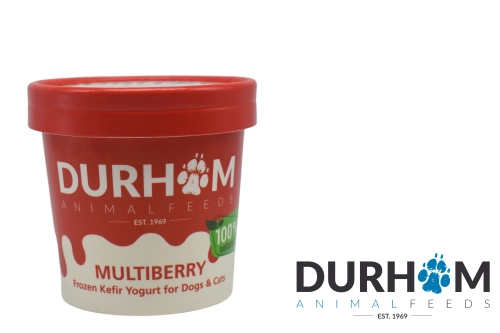 MULTIBUERRY YOG
