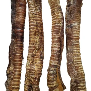 1kg beef trachea