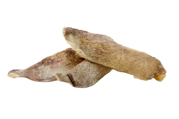 lamb ears with fur