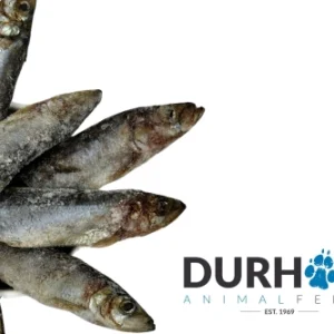 daf herring