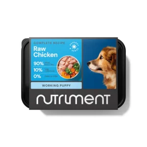 nutriment puppy chicken