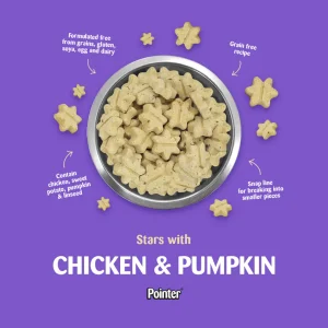 chicken and pumpkin
