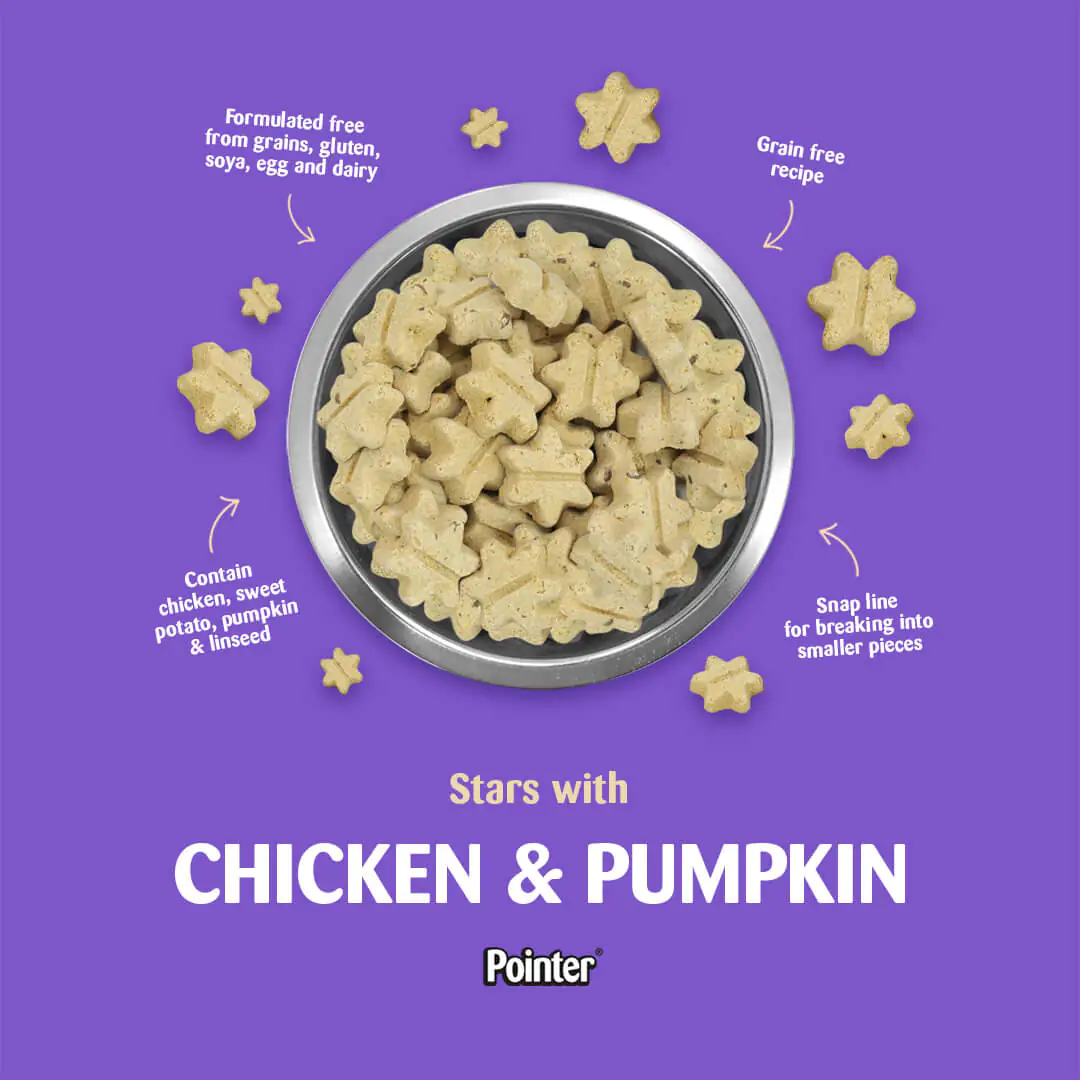 chicken and pumpkin