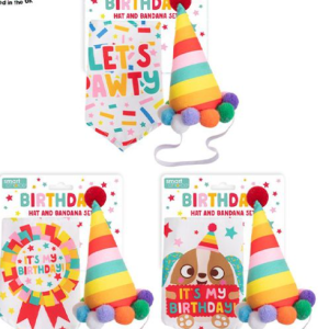 dog bandanna and party hat
