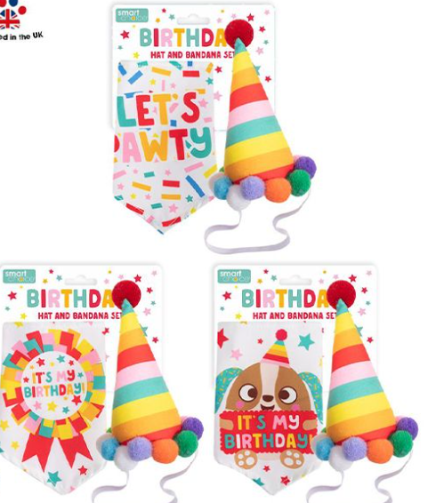 dog bandanna and party hat