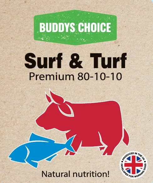 surf and turf
