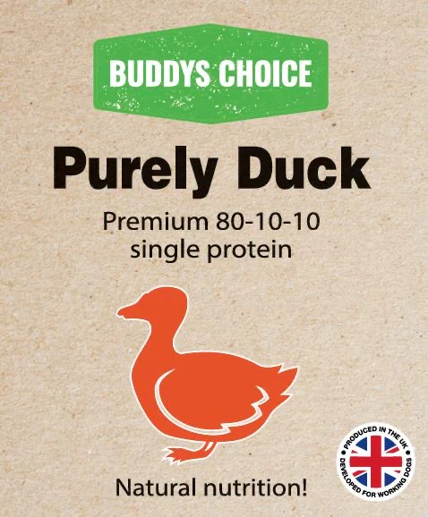 duck