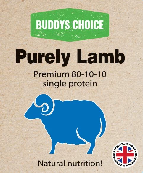 lamb