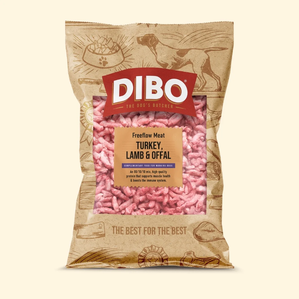 dibo