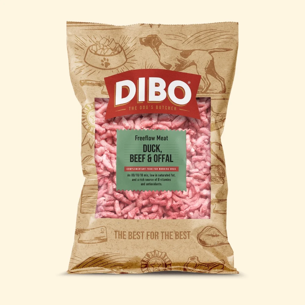 dibo