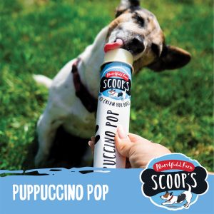 pop