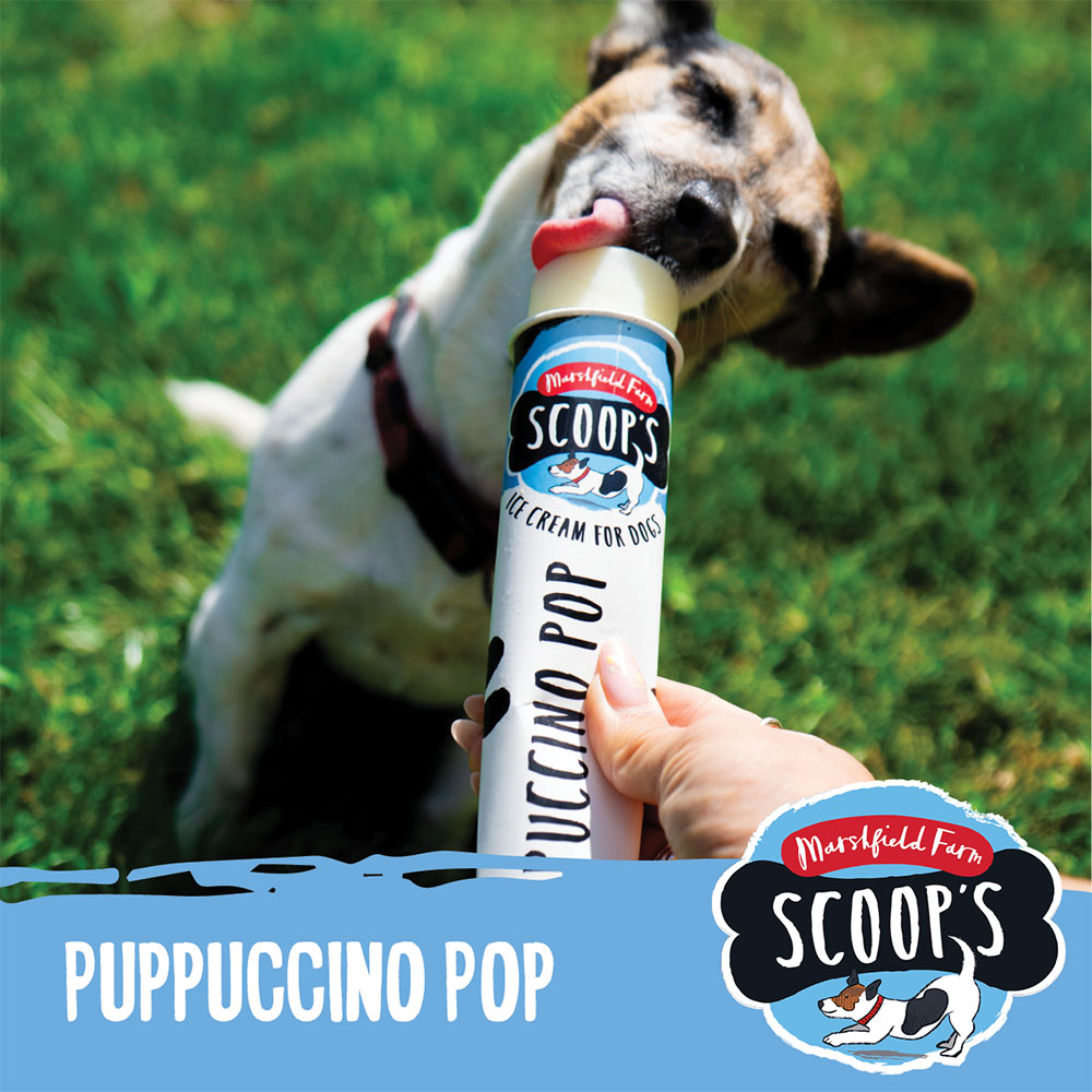 pop