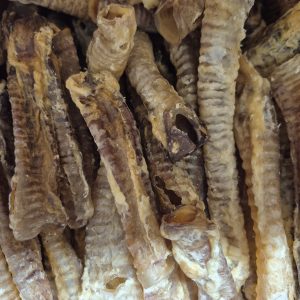 lamb trachea