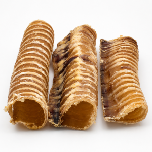 buffalo trachea