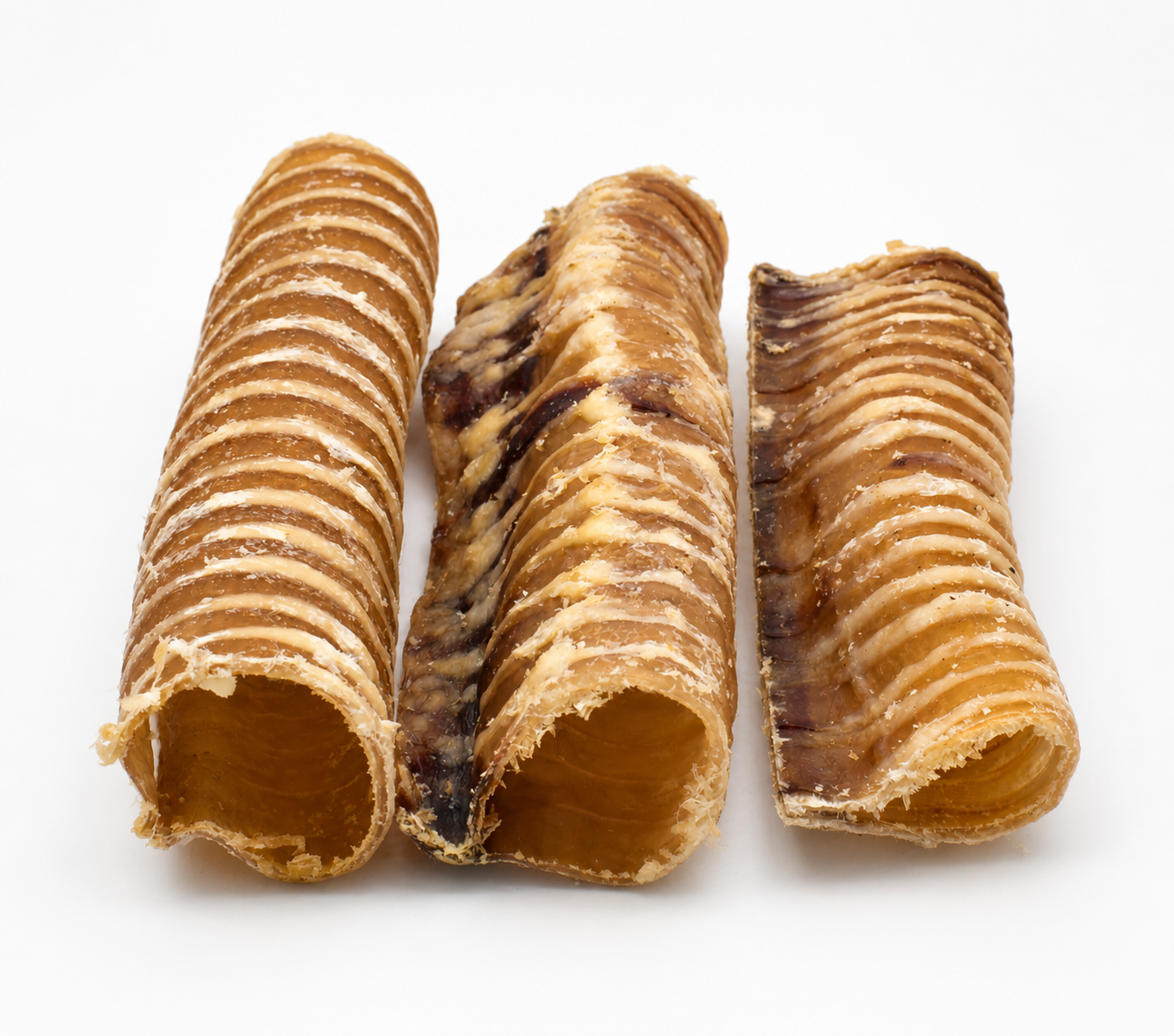 buffalo trachea