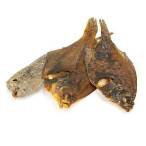dab fish