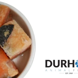 daf salmon chunks