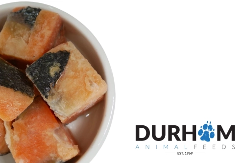 daf salmon chunks