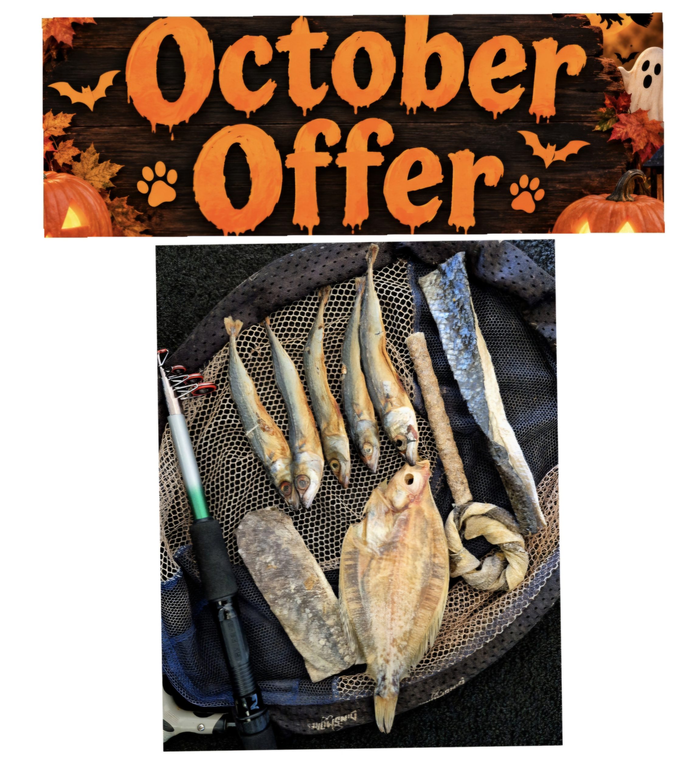 fin-tastic treats