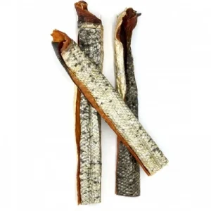 salmon skin
