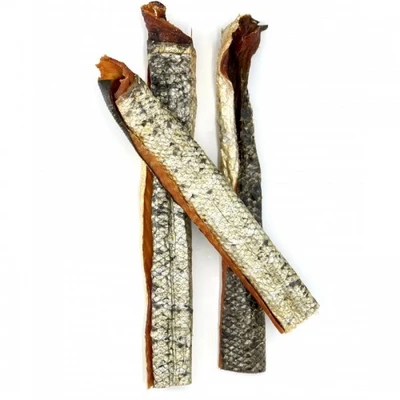 salmon skin