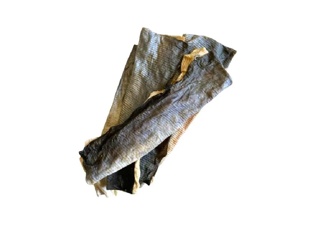 Fish flat