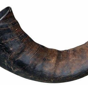 buffalo horn